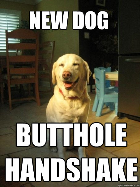 new dog butthole 
handshake  Caption 4 goes here - new dog butthole 
handshake  Caption 4 goes here  Blissfully Oblivious Dog