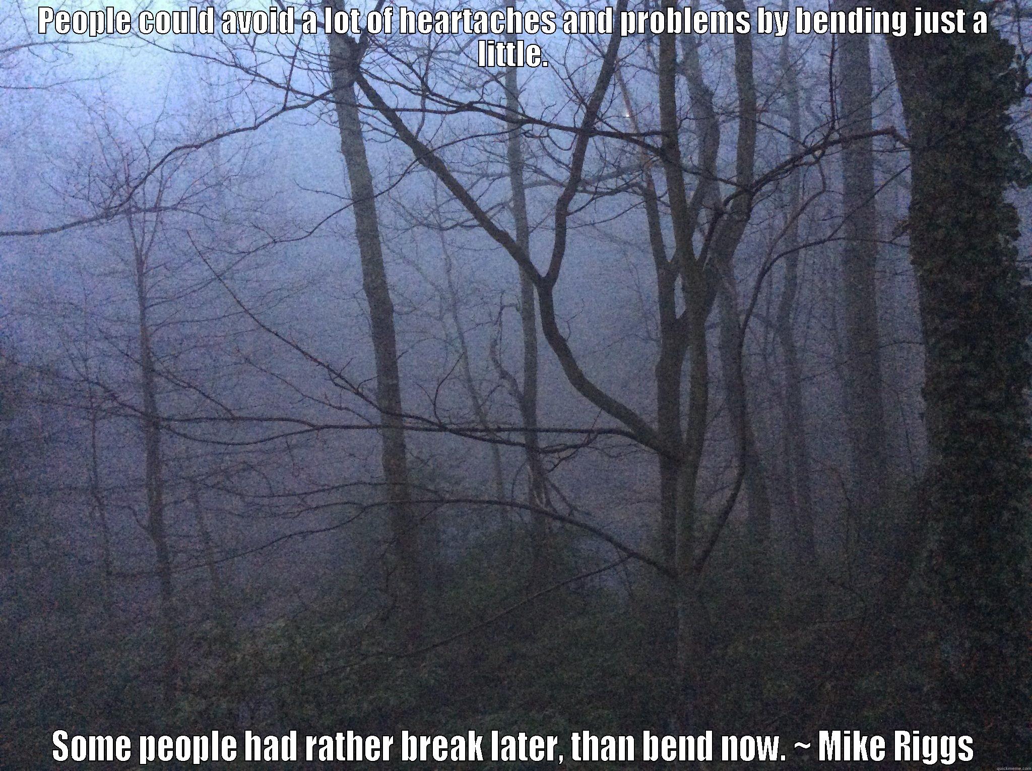 PEOPLE COULD AVOID A LOT OF HEARTACHES AND PROBLEMS BY BENDING JUST A LITTLE. SOME PEOPLE HAD RATHER BREAK LATER, THAN BEND NOW. ~ MIKE RIGGS Misc