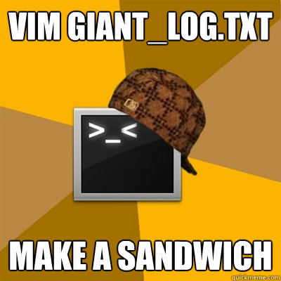 VIM GIANT_LOG.TXT MAKE A SANDWICH  