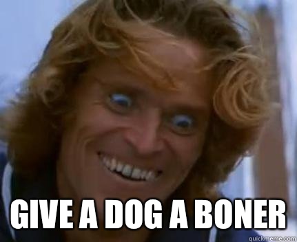  GIVE A DOG A BONER  willem dafoe face