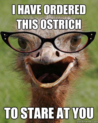 I have ordered this ostrich to stare at you  Judgmental Bookseller Ostrich