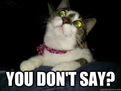  You don't say?  Nick Cage Cat