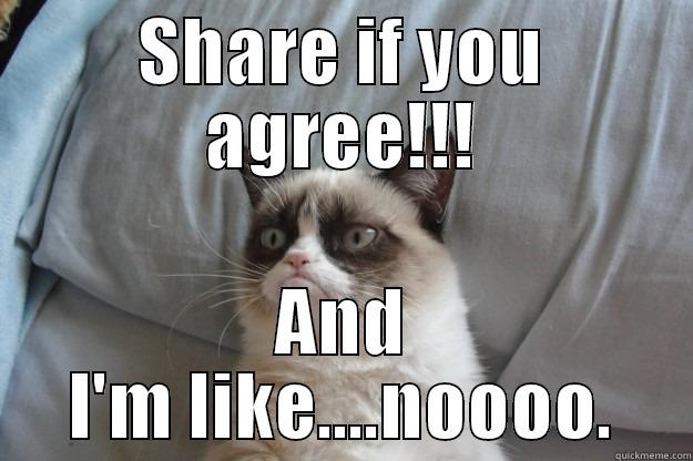SHARE IF YOU AGREE!!! AND I'M LIKE....NOOOO. Grumpy Cat