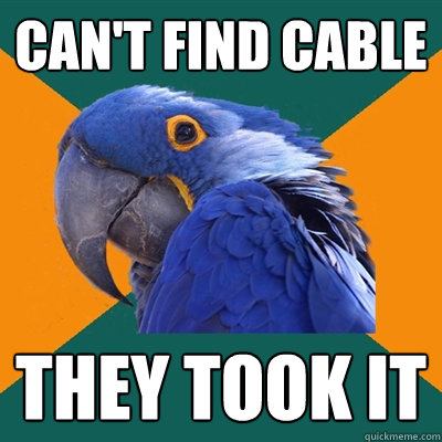 Can't find cable THEY took it  Paranoid Parrot