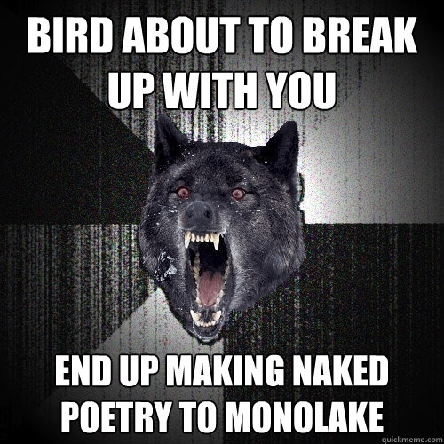 bird about to break up with you end up making naked poetry to monolake  Insanity Wolf