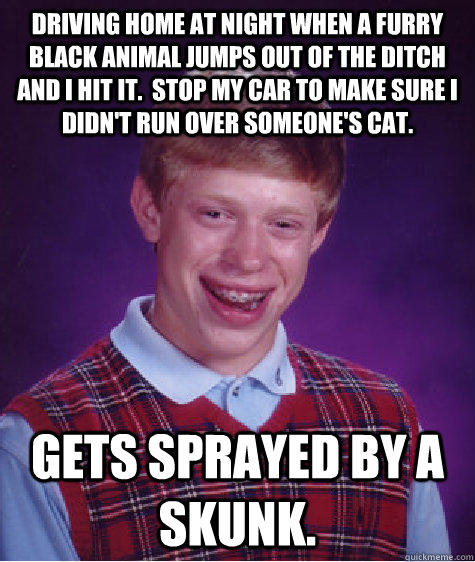 Driving home at night when a furry black animal jumps out of the ditch and I hit it.  Stop my car to make sure I didn't run over someone's cat. Gets sprayed by a skunk.  Bad Luck Brian