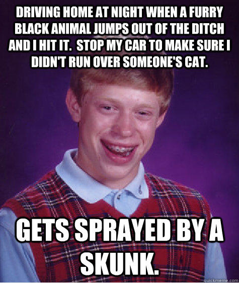 Driving home at night when a furry black animal jumps out of the ditch and I hit it.  Stop my car to make sure I didn't run over someone's cat. Gets sprayed by a skunk. - Driving home at night when a furry black animal jumps out of the ditch and I hit it.  Stop my car to make sure I didn't run over someone's cat. Gets sprayed by a skunk.  Bad Luck Brian