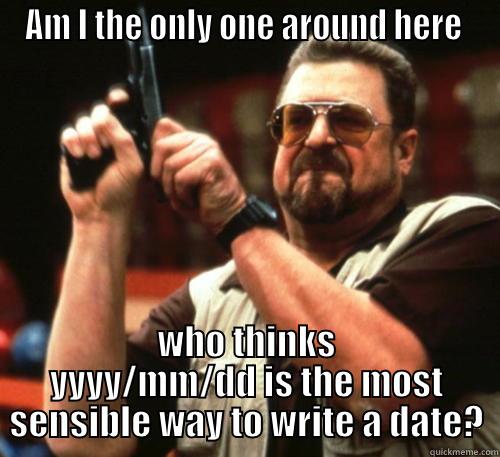 AM I THE ONLY ONE AROUND HERE  WHO THINKS YYYY/MM/DD IS THE MOST SENSIBLE WAY TO WRITE A DATE? Am I The Only One Around Here