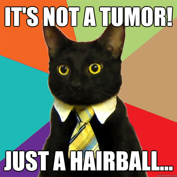 It's not a Tumor! Just a hairball...  Business Cat