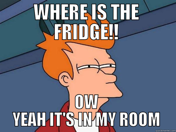 WHERE IS THE FRIDGE!! OW YEAH IT'S IN MY ROOM Futurama Fry