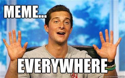 Meme... everywhere - Meme... everywhere  Bear meme