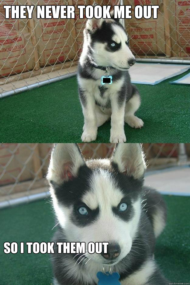 They never took me out So i took them out  Insanity puppy