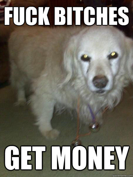 FUCK BITCHES GET MONEY  Mr.Steal Yo Girl