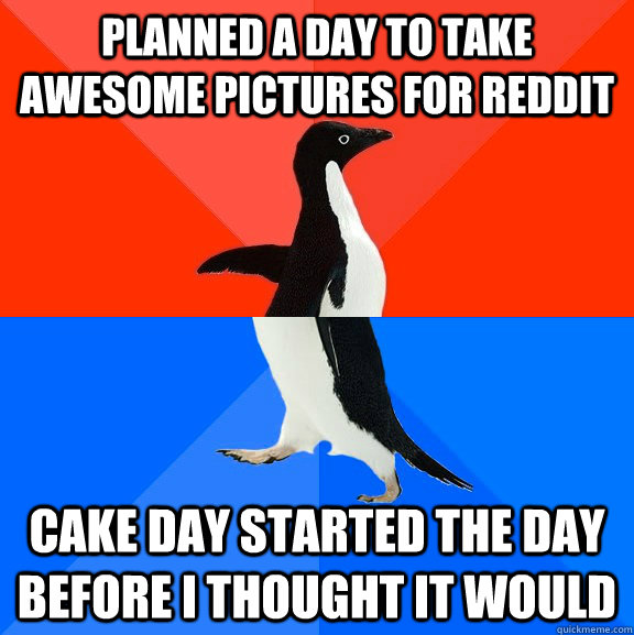 Planned a day to take awesome pictures for reddit Cake day started the day before I thought it would  Socially Awesome Awkward Penguin
