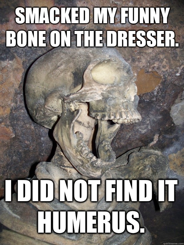 Smacked my funny bone on the dresser. I did not find it humerus. - Smacked my funny bone on the dresser. I did not find it humerus.  Fabulous skeleton