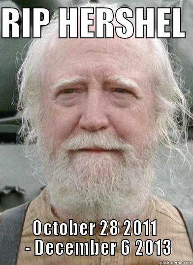 RIP HERSHEL 2011 - 2013 - RIP HERSHEL  OCTOBER 28 2011   - DECEMBER 6 2013 Misc