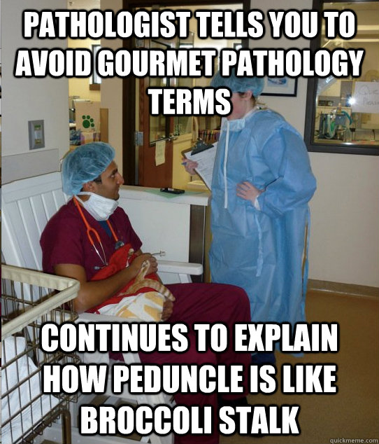 Pathologist tells you to avoid gourmet pathology terms Continues to explain how peduncle is like broccoli stalk  Overworked Veterinary Student