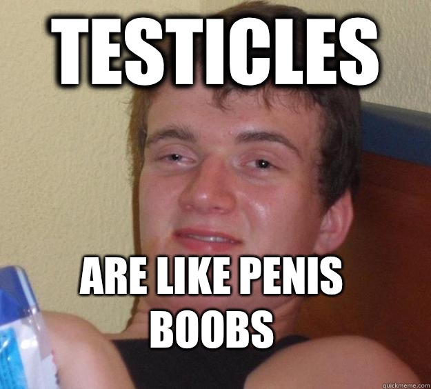 Testicles Are like penis boobs  10 Guy