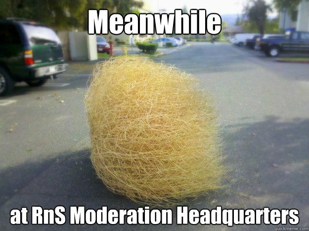 Meanwhile at RnS Moderation Headquarters  