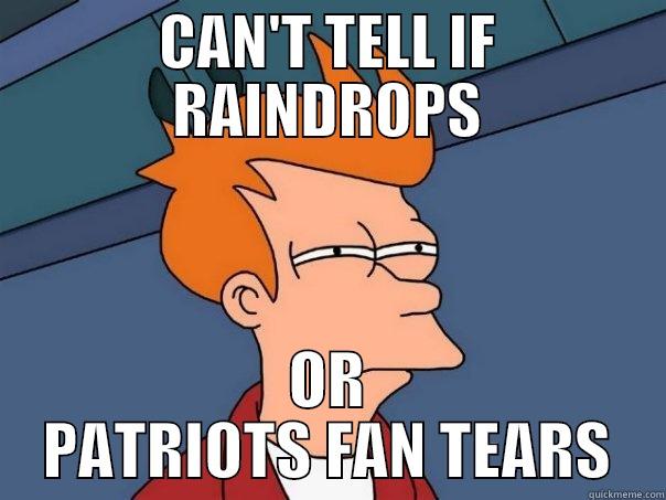 CAN'T TELL IF RAINDROPS OR PATRIOTS FAN TEARS Futurama Fry