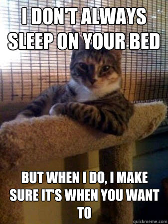 I don't always sleep on your bed but when I do, I make sure it's when you want to  The Most Interesting Cat in the World