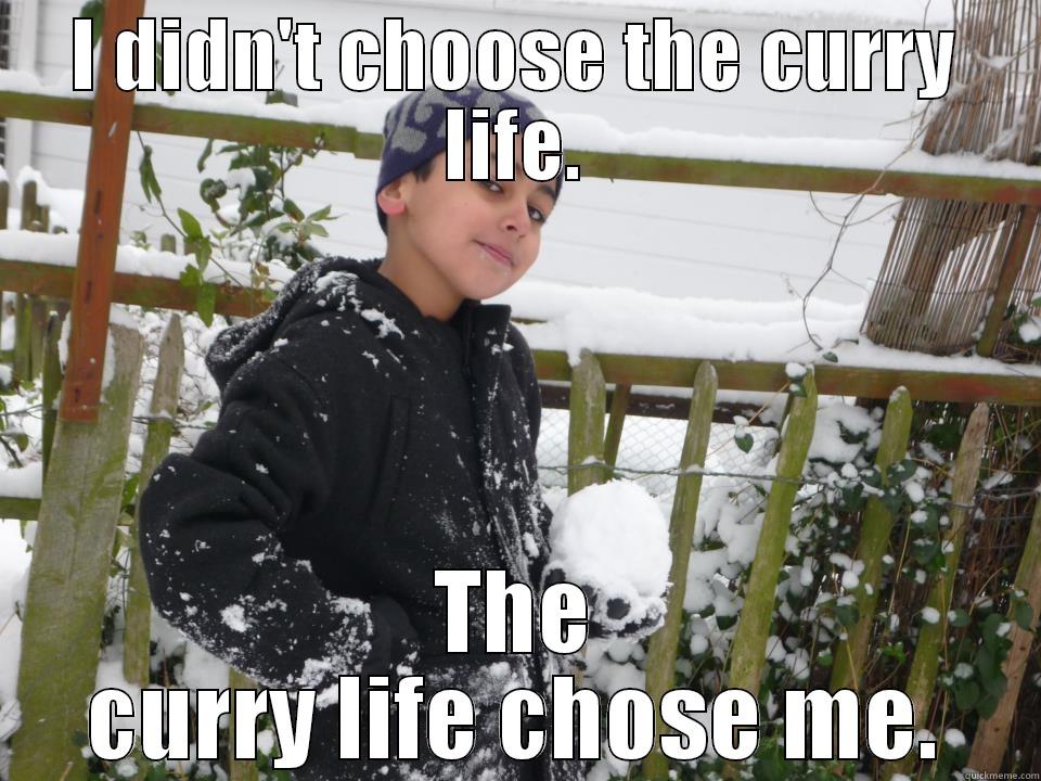 I DIDN'T CHOOSE THE CURRY LIFE. THE CURRY LIFE CHOSE ME. Misc