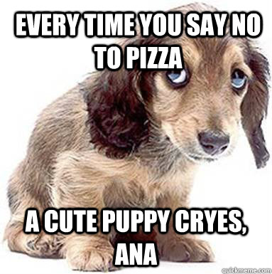 Every time you say no to pizza a cute puppy cryes, ana  Sad Puppy