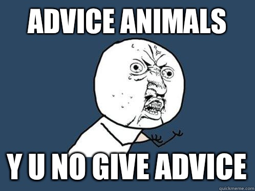 Advice Animals y u no give advice - Advice Animals y u no give advice  Y U No