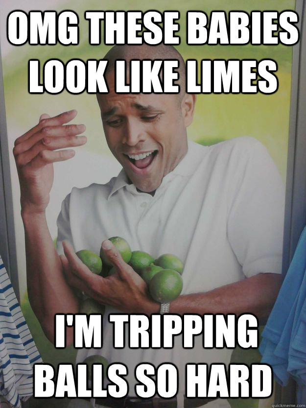 OMG THESE BABIES LOOK LIKE LIMES  I'M TRIPPING BALLS SO HARD - OMG THESE BABIES LOOK LIKE LIMES  I'M TRIPPING BALLS SO HARD  Guy Holding Limes