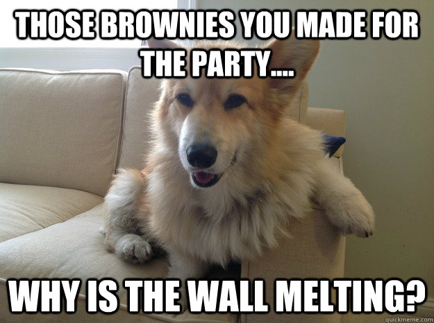 Those brownies you made for the party.... Why is the wall melting?  