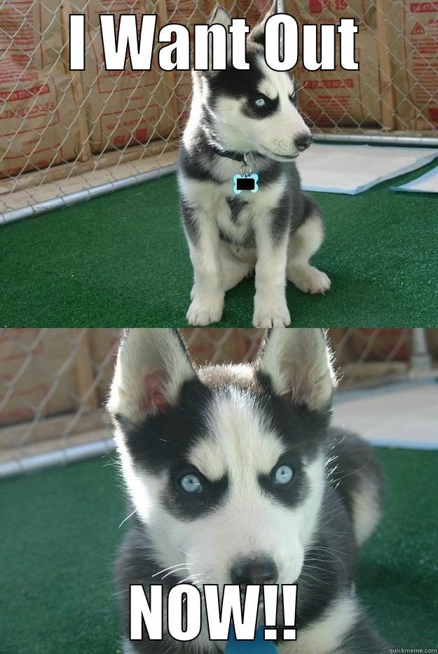 I WANT OUT NOW!! Insanity puppy
