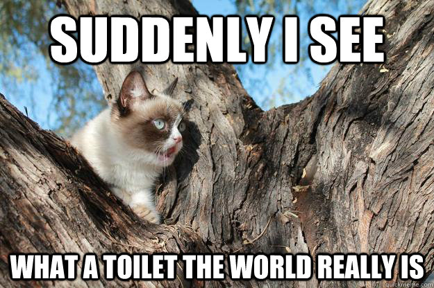 suddenly i see what a toilet the world really is - suddenly i see what a toilet the world really is  Sudden Clarity Grumpy Cat