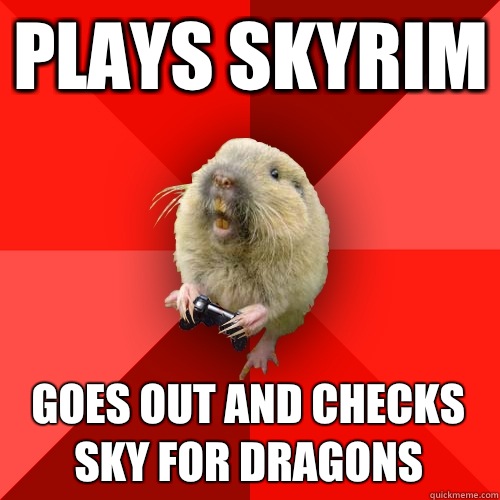 Plays Skyrim Goes out and checks sky for dragons  Gaming Gopher