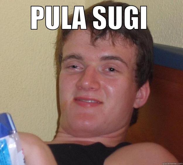 PULA SUGI  10 Guy