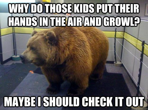 Why do those kids put their hands in the air and growl?  Maybe i should check it out   Office Grizzly