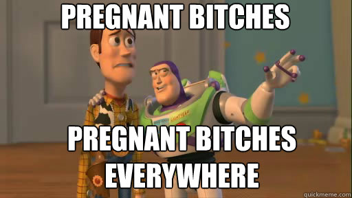 Pregnant bitches pregnant bitches everywhere  Everywhere