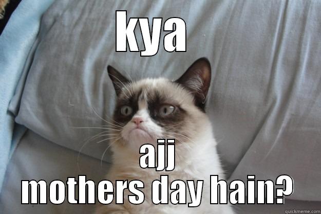 KYA  AJJ MOTHERS DAY HAIN? Grumpy Cat