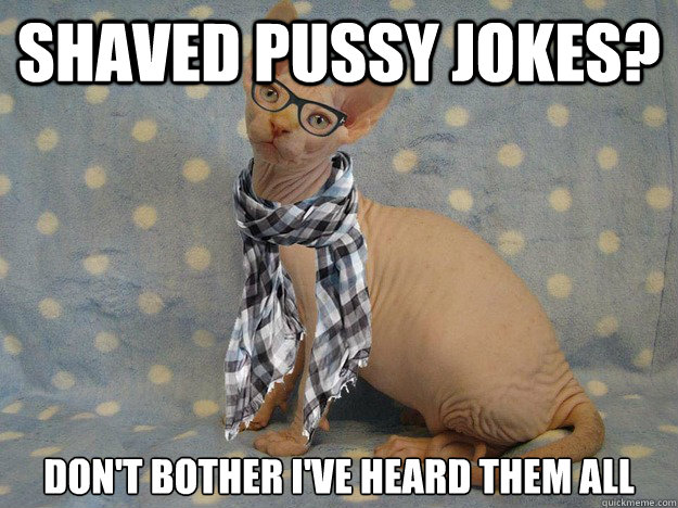 shaved pussy jokes? Don't bother i've heard them all - shaved pussy jokes? Don't bother i've heard them all  Hairless Hipster