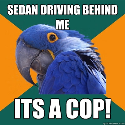 Sedan Driving behind me its a cop!  Paranoid Parrot