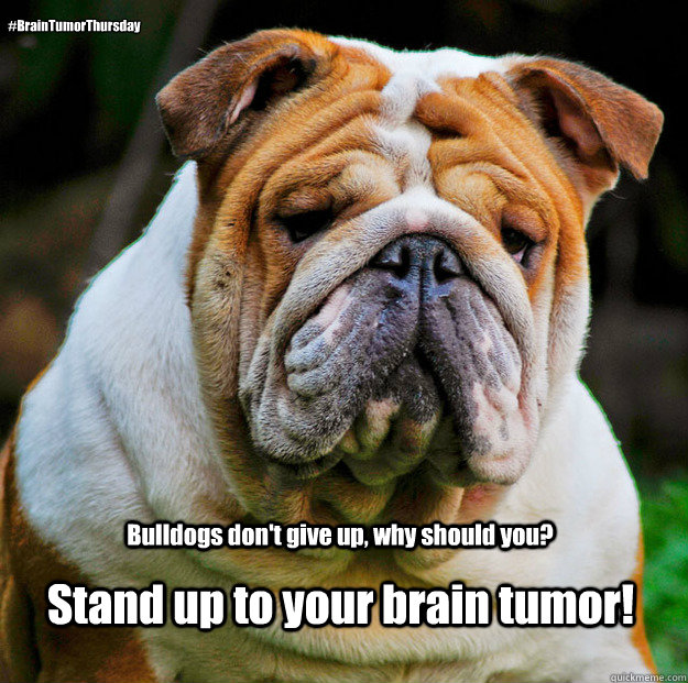 Bulldogs don't give up, why should you? Stand up to your brain tumor! #BrainTumorThursday  Brain tumor