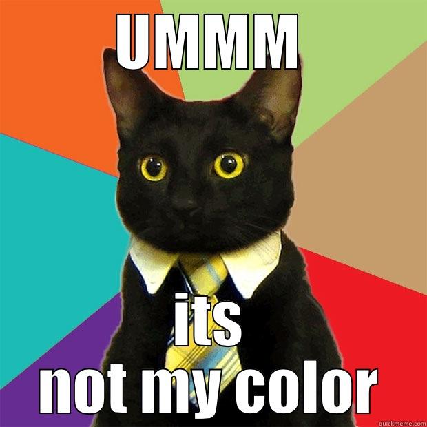 UMMM ITS NOT MY COLOR Business Cat