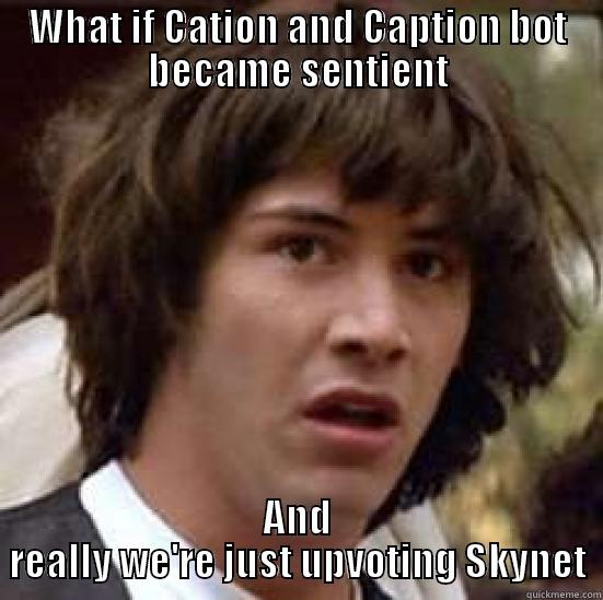 WHAT IF CATION AND CAPTION BOT BECAME SENTIENT AND REALLY WE'RE JUST UPVOTING SKYNET conspiracy keanu