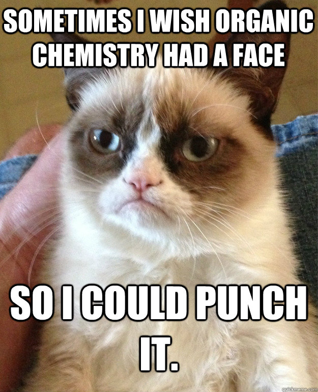 Sometimes I wish Organic Chemistry had a face So I could punch it.  Grumpy Cat
