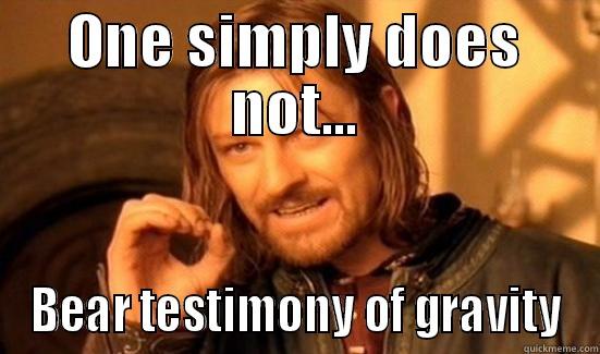ONE SIMPLY DOES NOT... BEAR TESTIMONY OF GRAVITY Boromir
