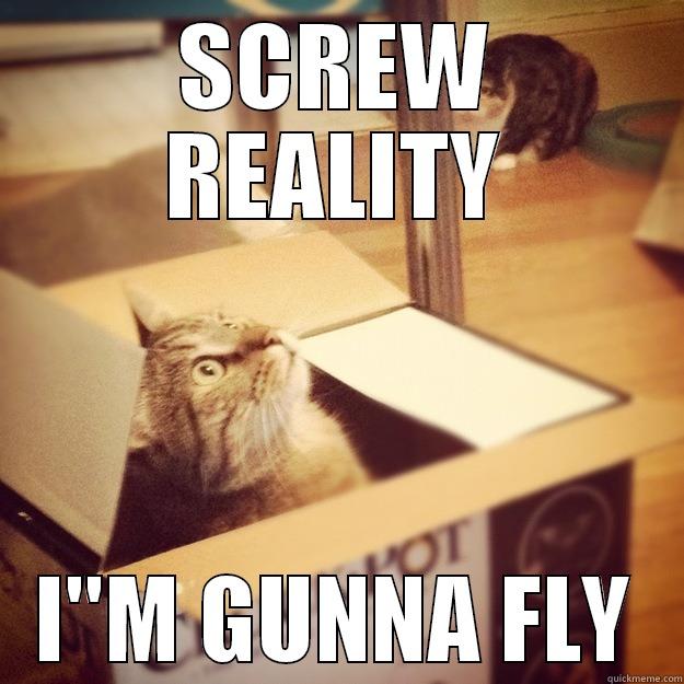The Cat Dreamer - SCREW REALITY I