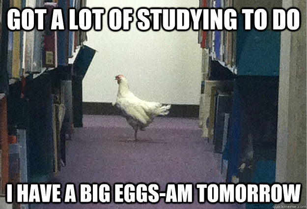 Got a lot of studying to do I have a big eggs-am tomorrow - Got a lot of studying to do I have a big eggs-am tomorrow  Grade-A Chicken