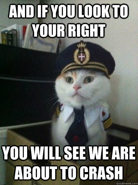 And if you look to your right you will see we are about to crash  Captain kitteh