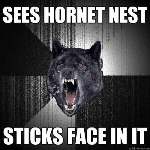 Sees hornet nest sticks face in it  Insanity Wolf