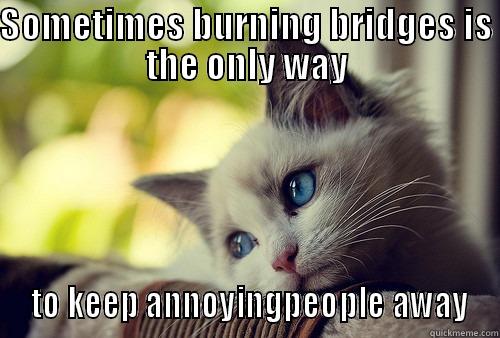SOMETIMES BURNING BRIDGES IS THE ONLY WAY  TO KEEP ANNOYINGPEOPLE AWAY First World Problems Cat