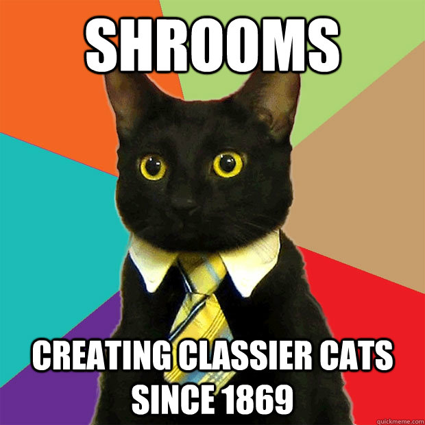 shrooms creating classier cats since 1869  - shrooms creating classier cats since 1869   Business Cat